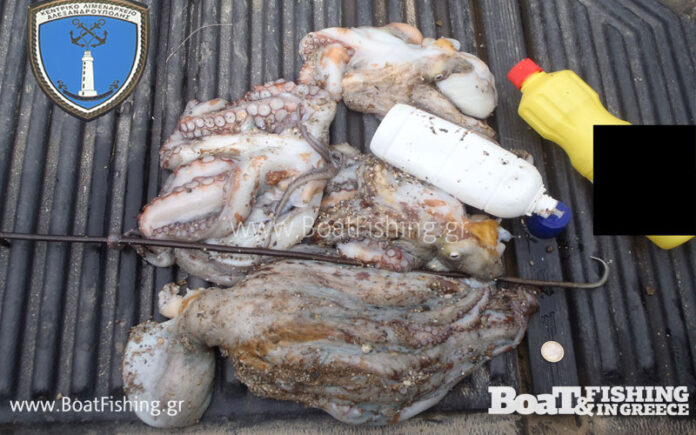 Θράκη: Η χαρά των ψαράδων για τα χταπόδια που έπιασαν δεν κράτησε πολύ - ΦΩΤΟ