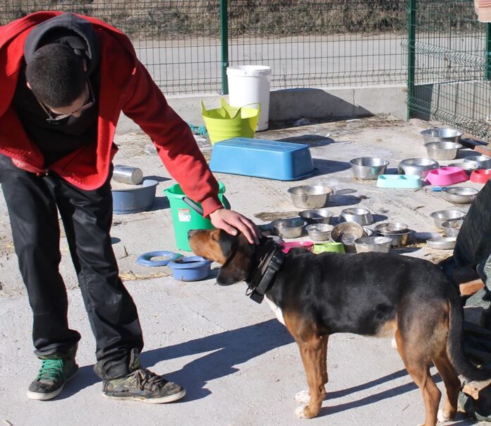 Κυνηγόσκυλο από την Ξάνθη εντοπίστηκε στη Βουλγαρία