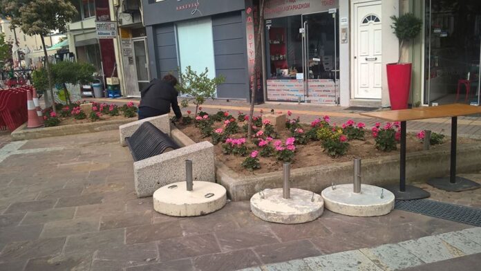 Έκλεβε λουλούδια από τα παρτέρια της Κεντρικής Πλατείας στην Ξάνθη - ΦΩΤΟ