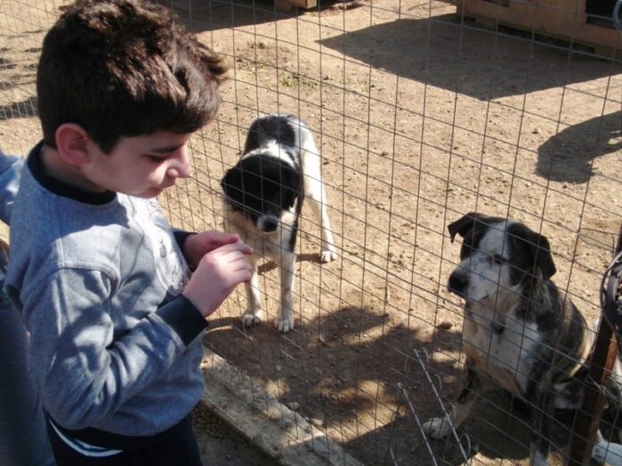 Στο Καταφύγιο Αδέσποτων Ζώων στη Φελώνη δύο σχολεία της Ξάνθης - ΦΩΤΟ
