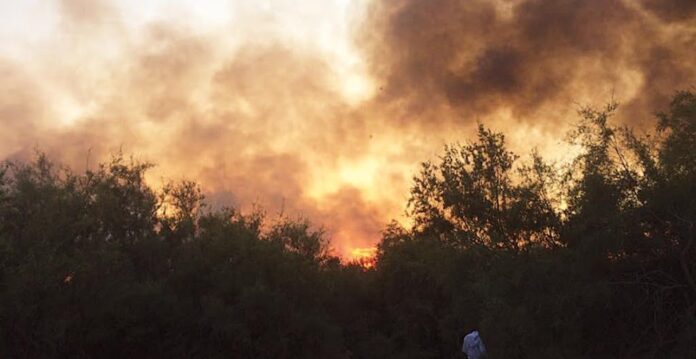 Μεγάλη καταστροφή - 1.500 στρέμματα κάηκαν σε παραλίμνια έκταση της Βιστωνίδας