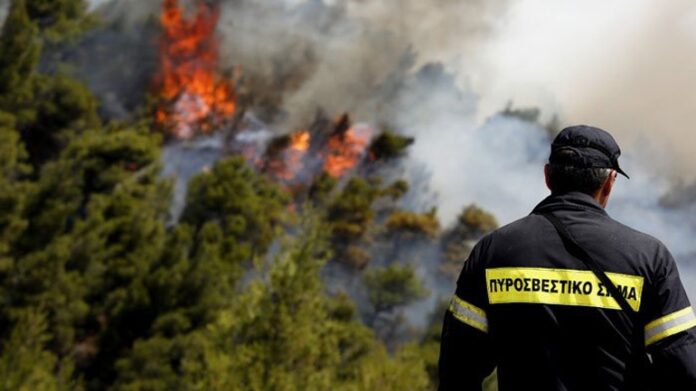 Σε εξέλιξη πυρκαγιά σε πευκοδάσος στην περιοχή της Λευκίμης
