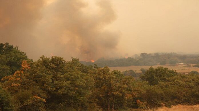 Θράκη: Συνεχίζεται η μάχη με τις φλόγες στην περιοχή της Λευκίμης