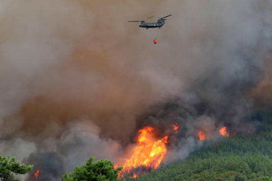 Θράκη: Υπό έλεγχο η δασική φωτιά στην περιοχή Κίρκη - Διαπιστώθηκε η αιτία που την προκάλεσε!
