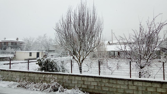 Ξάνθη: Λευκά τοπία και κλειστά σχολεία – Χιονίζει σε πόλεις της Ανατολικής Μακεδονίας