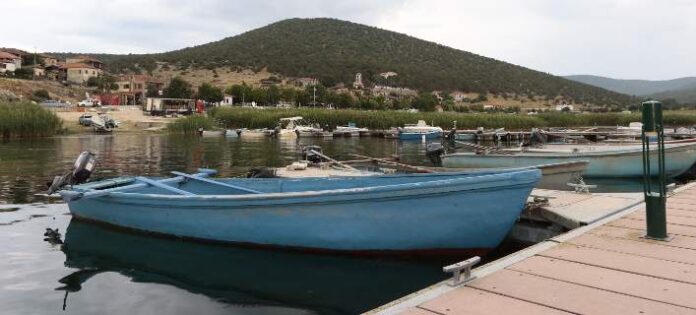 Μάστιγα η εμφάνιση φυτοπλαγκτόν στο Θρακικό πέλαγος - Χωρίς μεροκάματο οι ψαράδες