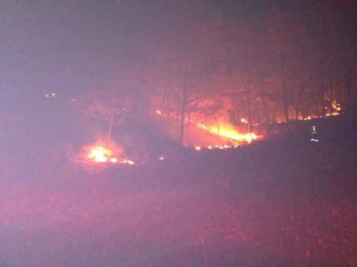 Πυρκαγιά σε δασική έκταση στην ορεινή Ξάνθη - ΦΩΤΟ