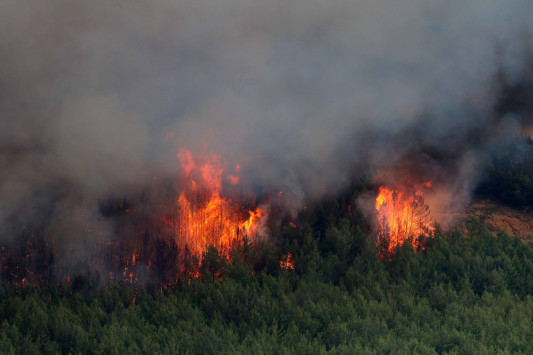 Αλεξανδρούπολη: Έψηνε... παϊδάκια και έβαλε φωτιά σε δάσος