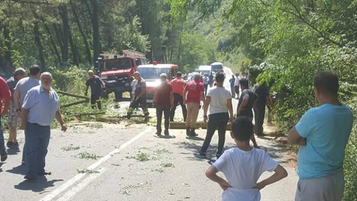 Τροχαίο ατύχημα στην Ξάνθη - Δέντρο έπεσε πάνω σε Ι.Χ. αυτοκίνητο