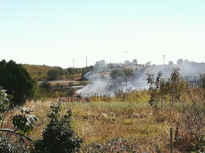 Πυρκαγιά σε απόσταση αναπνοής από τη Μάνδρα - Συναγερμός στην Πυροσβεστική