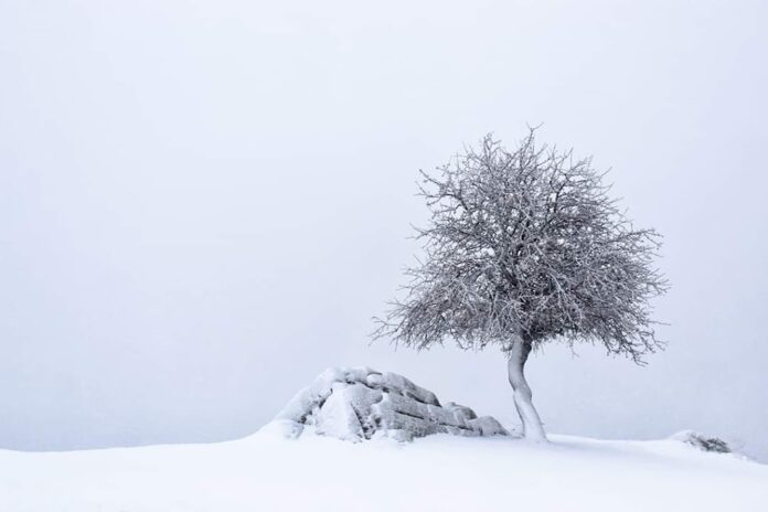 Ροδόπη: Μαγεία μέσα στο χιόνι