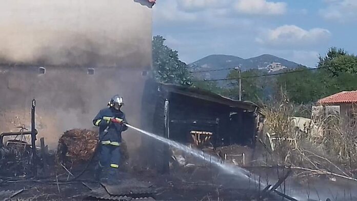 Ξάνθη: Φωτιά σε αγρόκτημα δίπλα σε κτηνοτροφική μονάδα στον Πολύσιτο - ΦΩΤΟ