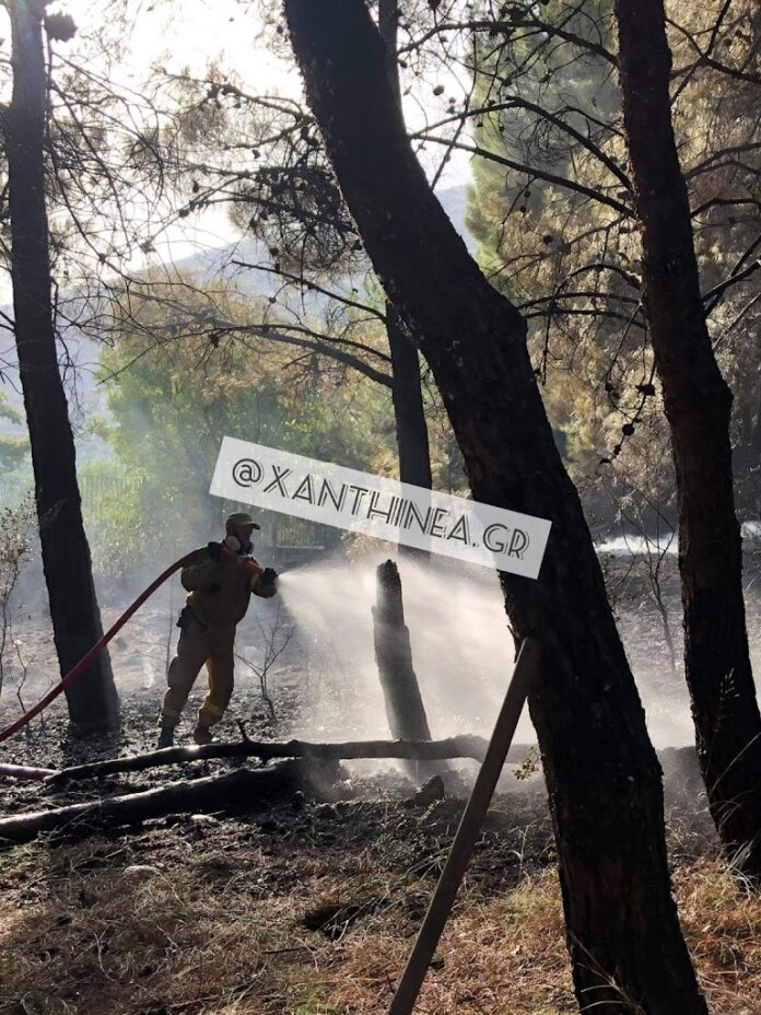 Ξάνθη: Φωτιά σε δασική έκταση στην Χρύσα [ΒΙΝΤΕΟ]