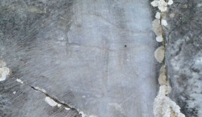 Με συρματόβουρτσα κατέστρεψαν βραχογραφίες 3.500 χρόνων στο Παγγαίο