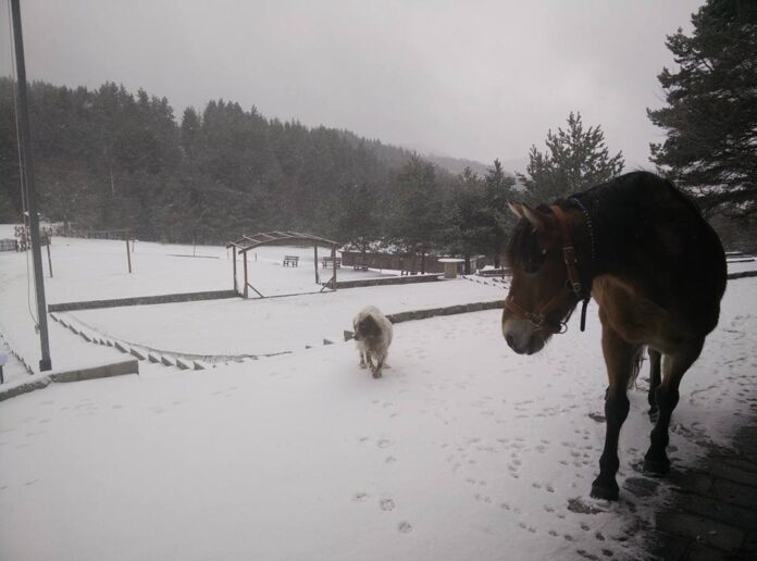 Στα λευκά το Δασικό Χωριό στην Ξάνθη - Εντυπωσιακές εικόνες με χιόνι και.. ήλιο! (+ΦΩΤΟ)