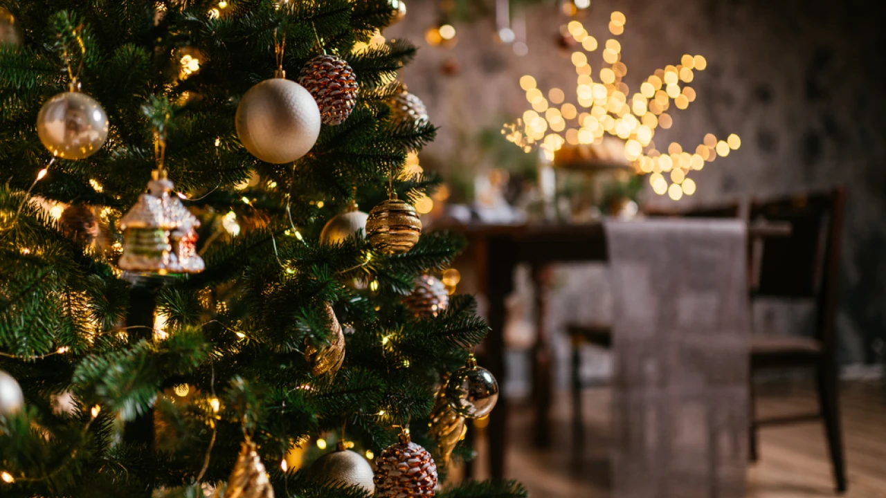 Από την αποθήκη στο σαλόνι - Έτσι θα καθαρίσετε Χριστουγεννιάτικο δέντρο και στολίδια