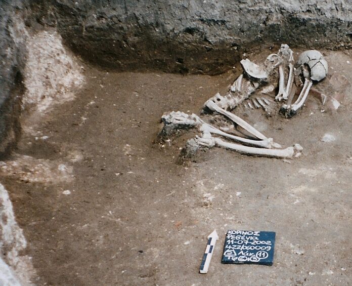 Οι πρώτοι Νεολιθικοί αγρότες ήταν απόγονοι των κατοίκων του Αιγαίου – Έρευνα από το ΔΠΘ