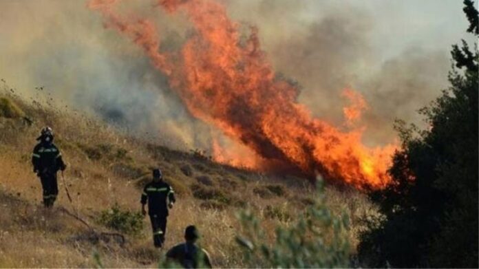 Φωτιά στον Έβρο: Κινδυνεύει το δάσος της Δαδιάς