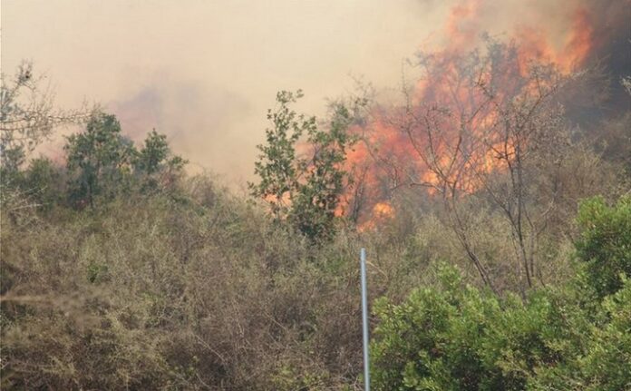 Υπό πλήρη έλεγχο η πυρκαγιά στην ορεινή Ξάνθη - Συναγερμός στην Πυροσβεστική (+ΦΩΤΟ)