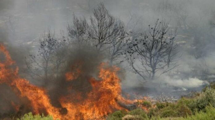 Πυροσβεστική: 53 δασικές φωτιές το τελευταίο 24ωρο στην Ελλάδα