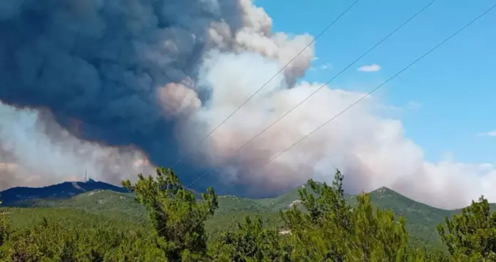 Φωτιά στη Δαδιά: Έχουν καεί πάνω από 34.000 στρέμματα