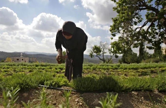 Η Σόφια επιμένει στην αύξηση του ποσού στήριξης από το γεωργικό αποθεματικό της ΕΕ