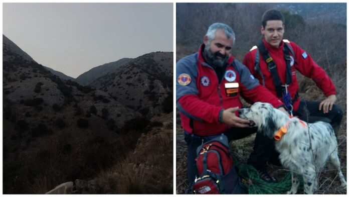 Σκύλος έπεσε σε χαράδρα στην ορεινή Ξάνθη - Σώθηκε από την Ελληνική Ομάδα Διάσωσης