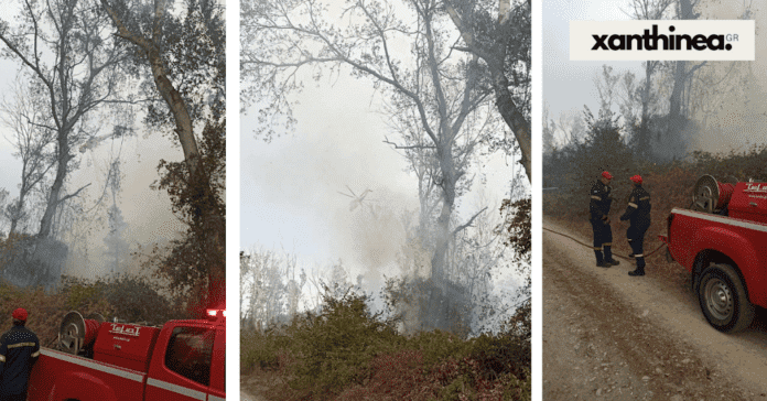 Ξάνθη: Υπό έλεγχο η μεγάλη πυρκαγιά στο Δάσος Κοτζά Ορμάν [ΦΩΤΟ – ΒΙΝΤΕΟ]