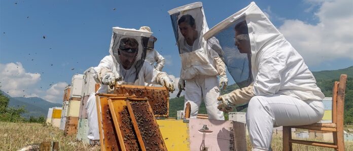 Αφήστε τους μελισσοκόμους να κυκλοφορούν ελεύθερα στο δάσος