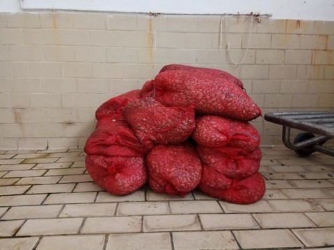 Κατασχέθηκαν 730 κιλά οστράκων στο Πόρτο Λάγος - Χειροπέδες σε 50χρονο που τα μετέφερε