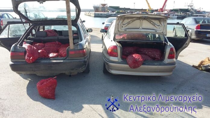 Κατασχέθηκαν πάνω από 2 τόνοι ακατάλληλων οστράκων στην Αλεξανδρούπολη - ΦΩΤΟ