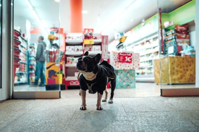 Γιατί δεν πρέπει να αφήνετε τον σκύλο δεμένο έξω από το σούπερ μάρκετ