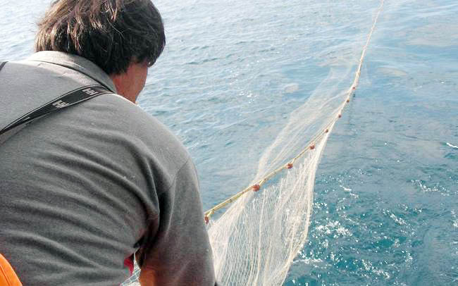 Νεκρός ηλικιωμένος ψαράς στην Θάσο - Βρισκόταν μέσα στην θάλασσα με τον γιο του