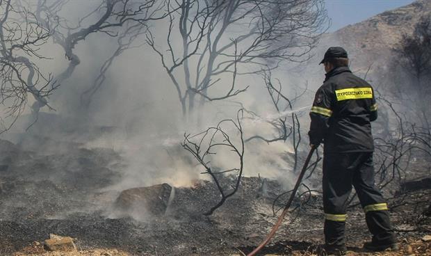 Πυρκαγιές σε αγροτικές εκτάσεις σε Συδινή και Μάγγανα - Κινητοποιήθηκε η Πυροσβεστική