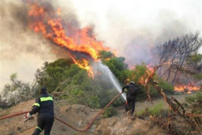 Δράμα: Άναψε φωτιά στο δάσος – Σύλληψη για εμπρησμό