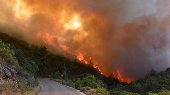 ΑΜΘ: Τραγικός απολογισμός - Κάηκαν 19.270 στρέμματα