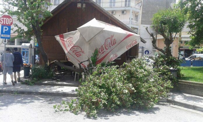 Δέντρο έπεσε σε πιάτσα ταξί στην Ξάνθη - Παρά τρίχα δεν τραυματίστηκε κανείς