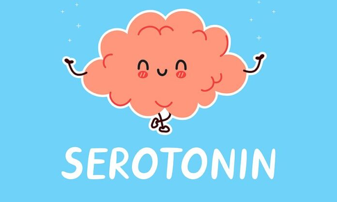 Σεροτονίνη: Τι είναι και ποιος ο ρόλος της;
