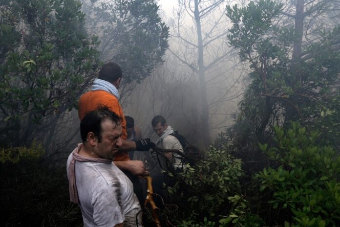 35 φωτογραφίες για τα τρία μερόνυχτα που οι πυρκαγιές καταβροχθίζουν την ομορφιά της καταπράσινης Θάσου
