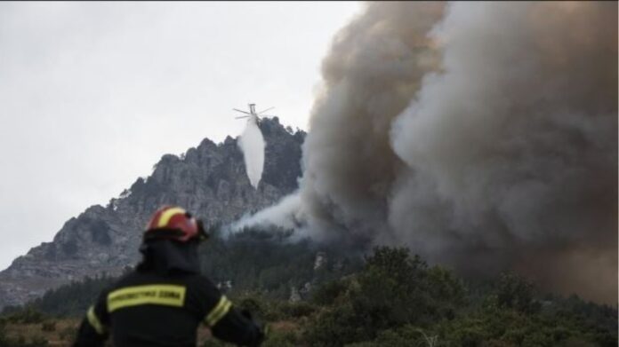 Υπό έλεγχο η πυρκαγιά στην περιοχή Λευκίμμη του Δήμου Σουφλίου