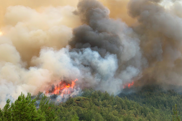 Βιβλική καταστροφή στην Θάσο - Τι άφησε πίσω της η πυρκαγιά στο νησί - Δείτε βίντεο από drone