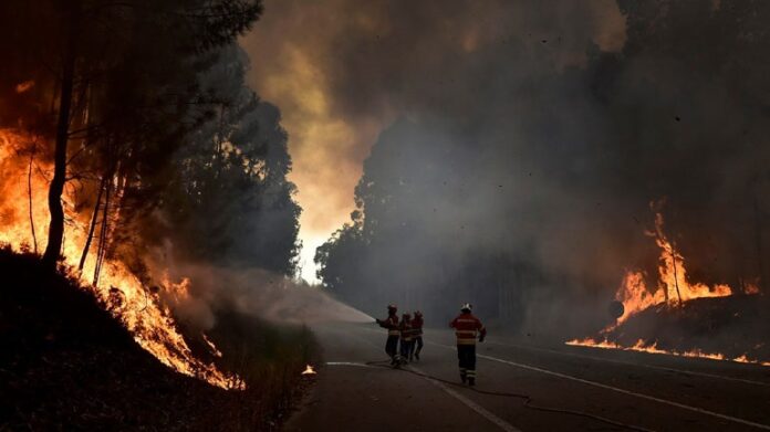 Υπό μερικό έλεγχο η φωτιά σε δασική έκταση στην Αλεξανδρούπολη