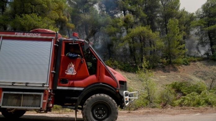 Υπό μερικό έλεγχο πυρκαγιά σε δασική έκταση στο Σουφλί του Έβρου
