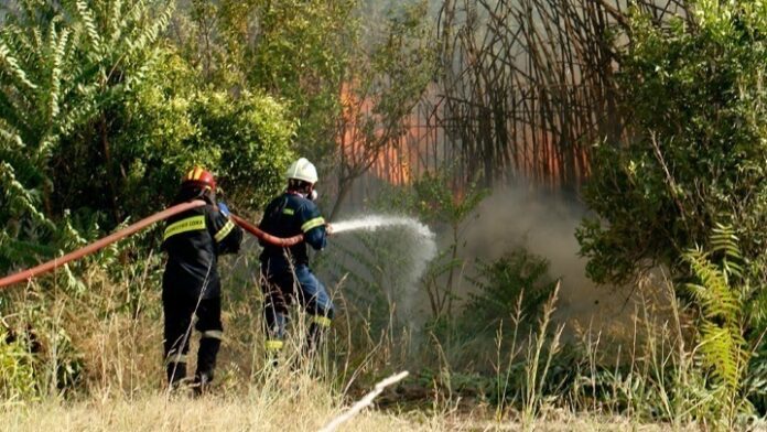 Σε εξέλιξη βρίσκεται πυρκαγιά σε δασική έκταση στην Νυμφαία