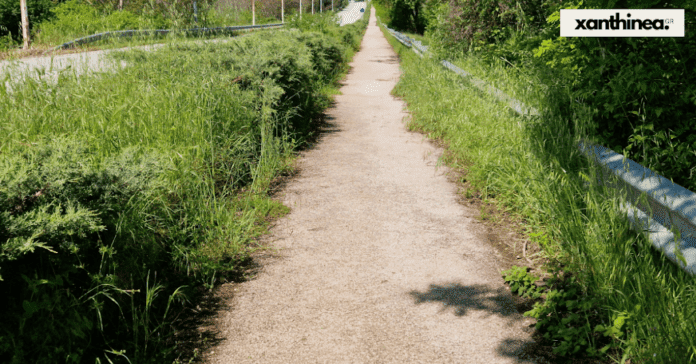 Ξάνθη: Μίνι ζούγκλα στον ποδηλατόδρομο προς τις Φοιτητικές Εστίες