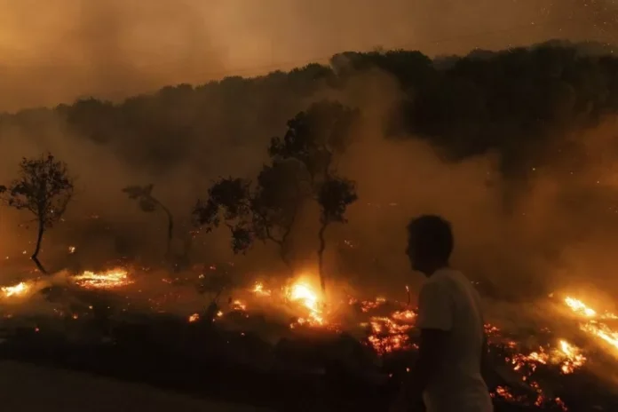 Στη Θράκη η μεγαλύτερη μεμονωμένη πυρκαγιά στην Ευρώπη από τη δεκαετία του 1980