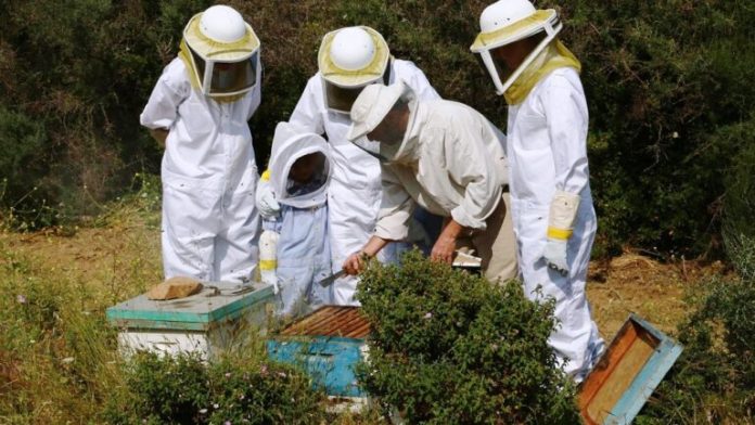 «Πράσινο φως» για την αποκατάσταση του Μελισσοκομικού πάρκου Δαδιάς