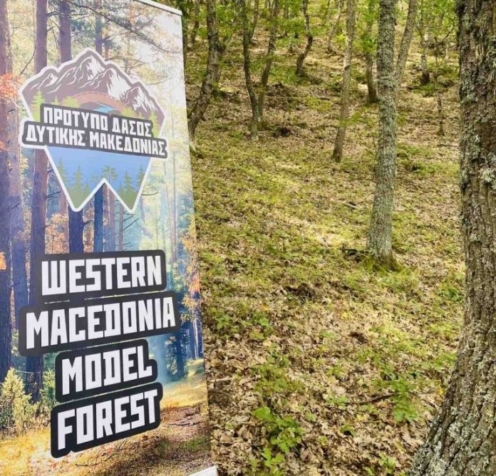 Κοζάνη: Το πρώτο ελληνικό «Πρότυπο Δάσος» ιδρύθηκε στη Δυτ. Μακεδονία
